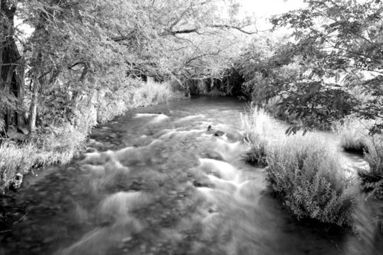 Long-exposure rushing creek