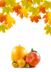 Naklejka na ściany i meble Maple leaves and pumpkins