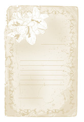 old paper with floral border