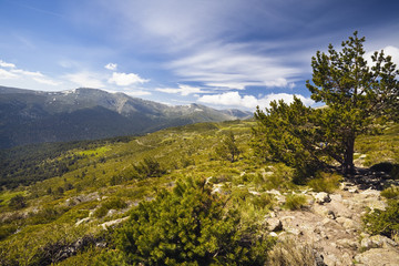 Sierra de Guadarrama