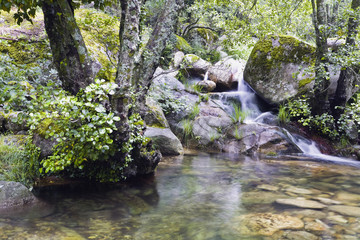Sierra de Gredos. Gaganta de Nuño cojo