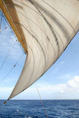 Sail and ocean