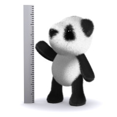 3d Panda measures up © Steve Young