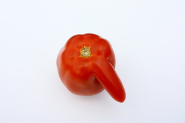 tomate bio