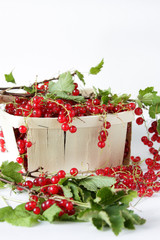 Red currants in the basket