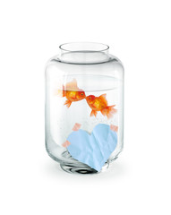 Couple de Poissons Rouges