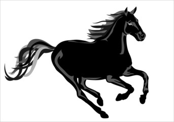 Fototapeta na wymiar Чёрный конь / Black Horse