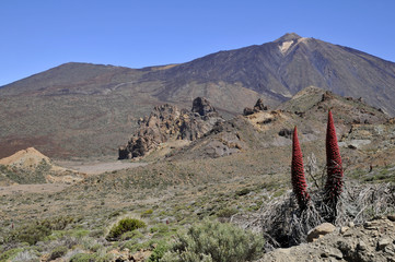 Volcan Le Teide à Ténérife aux îles Canaries en Espagne