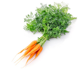 fresh carrot fruits with green leaves