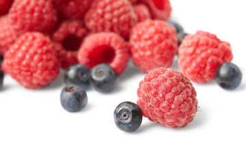 berries on white background