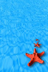 Fototapeta na wymiar Water background with red starfish