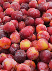 Red Plums