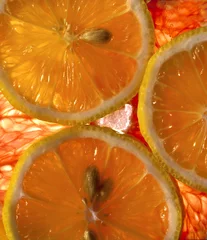 Tableaux ronds sur aluminium brossé Tranches de fruits abstrait de citrons et de pamplemousse