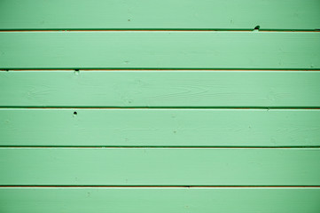 Naklejka premium green wall