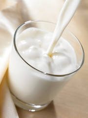 Milch
