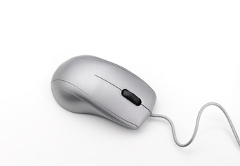 Un rat&oacute;n en fondo blanco.