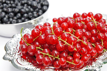Fresh redcurrants on a silver isolated on white background
