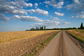 Fototapeta na wymiar rural road and field of wheat with low dark cloud