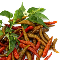 piments rouges confits, fond blanc
