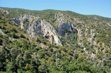 paysage provençal