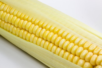 corn