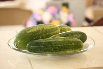 Cucumber