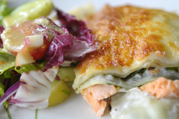 The lasagne with salmon