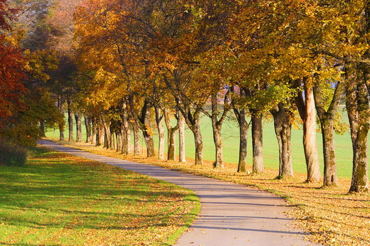 Herbstweg