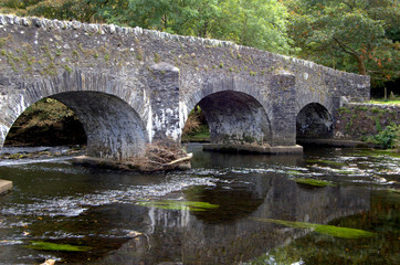 Fototapeta na wymiar clara lara bridge wicklow ireland