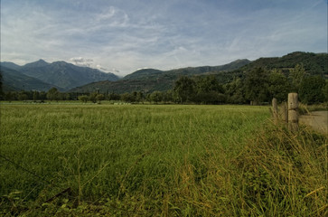 prado