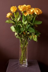 Dead Roses