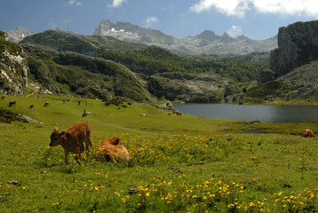 Fototapeta na wymiar Lagos de Covadonga