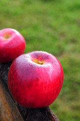 Organic apples