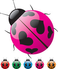 Love ladybird