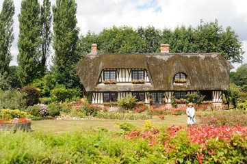 Fototapete bei efototapeten.de bestellen   