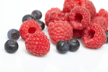 berries on white background