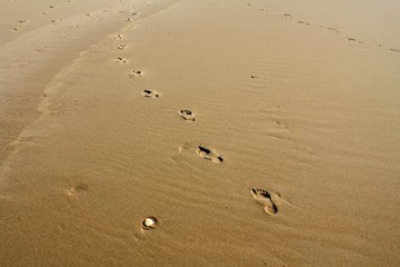 Pas dans le sable