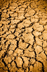 Cracked Mud Arid Ground