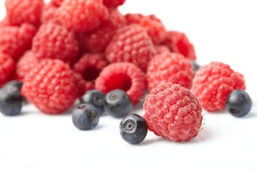 berries on white background
