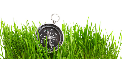 compass in green grass