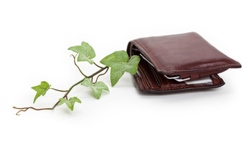 Wallet and plant