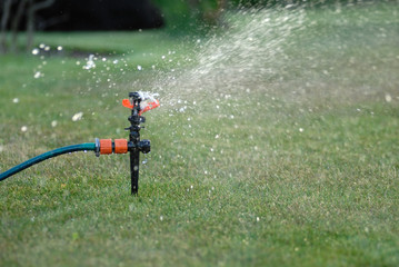 Fototapeta na wymiar Watering the garden