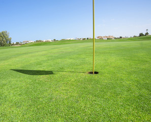 Obraz premium Closeup of a golf course green