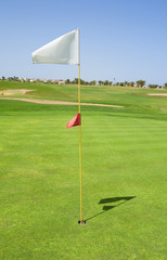 Flag on a golf course green