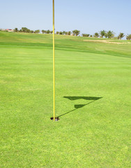 Obraz premium Closeup of a golf course green