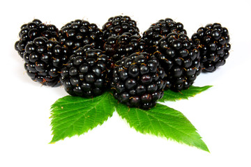 blackberries