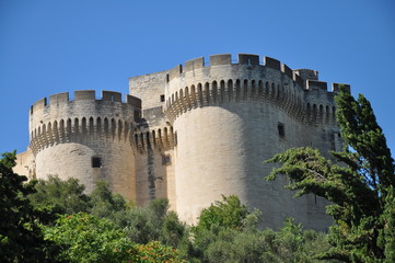fort saint andré