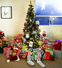 Christmas Tree - 24840888