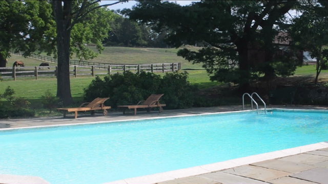 estate swimming pool  water slide diving board horses pasture