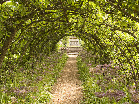 Garden path under leafy arch leading to garden seat
